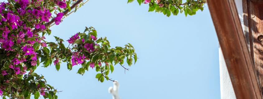 Photo prise dans les rue de la Chora de Antiparos